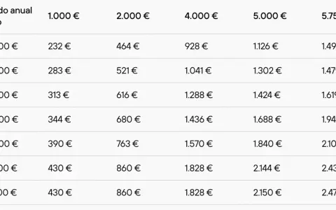 Tabla de sueldos anuales brutos y sus correspondientes importes. Útil para un autónomo sin ingresos para su declaración de la renta.
